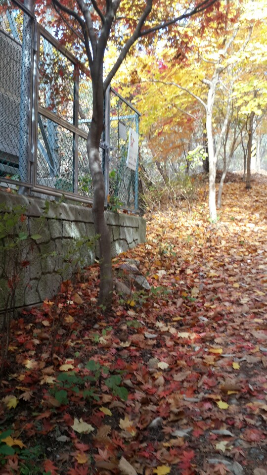 2013111107166148.jpg