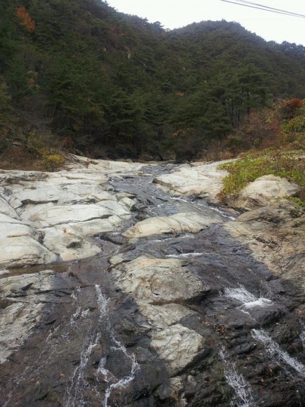 2013111105181372.jpg