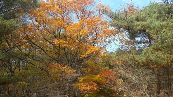2013111105388038.jpg