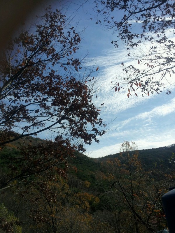2013111106063446.jpg