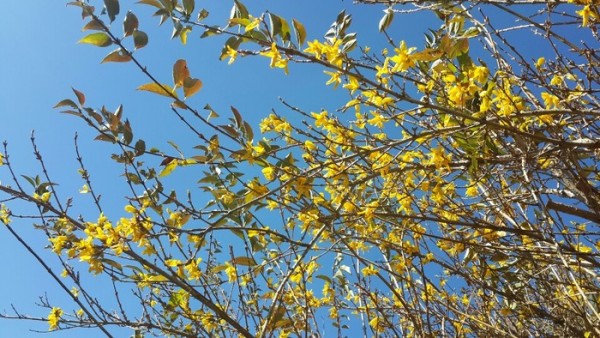 2013111106474262.jpg