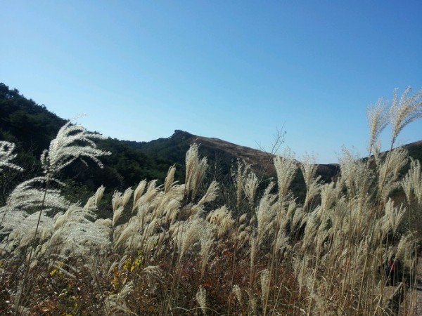 2013111107424337.jpg