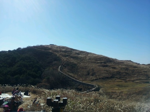 2013111108247584.jpg