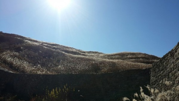 2013111108436893.jpg