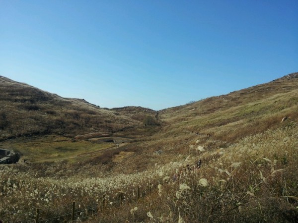 2013111109088685.jpg