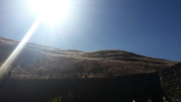 2013111109221938.jpg