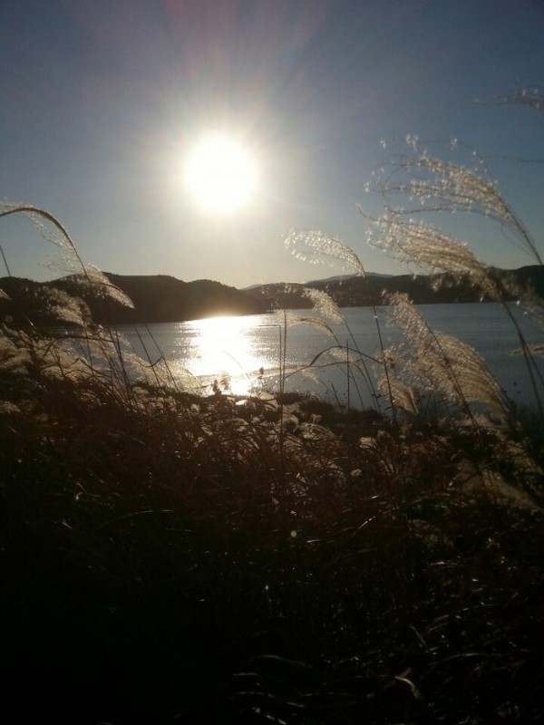 201311111055131.jpg