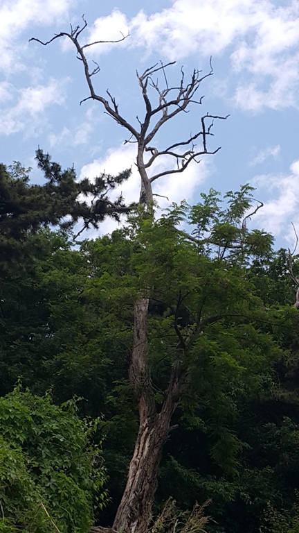2015052843592004.jpg