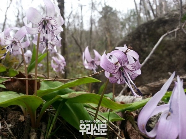 2016050545135089.jpg