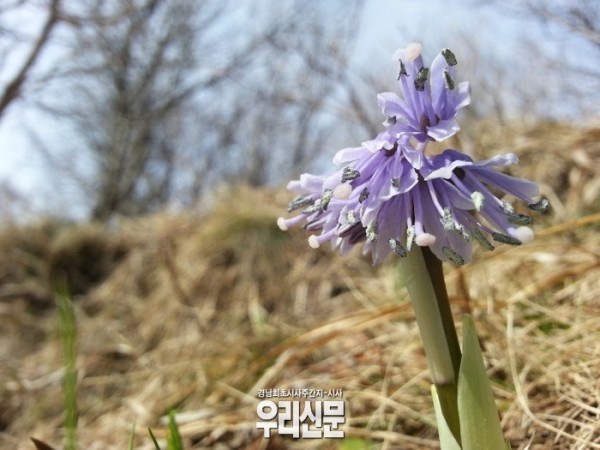 2016050545499218.jpg